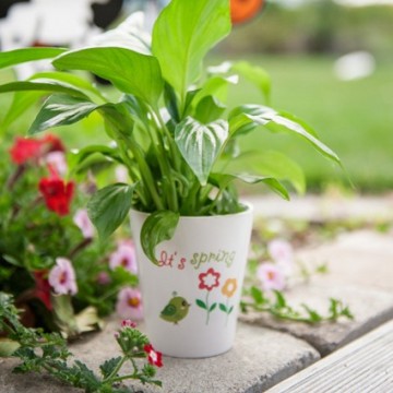 Bloempotten en bakken