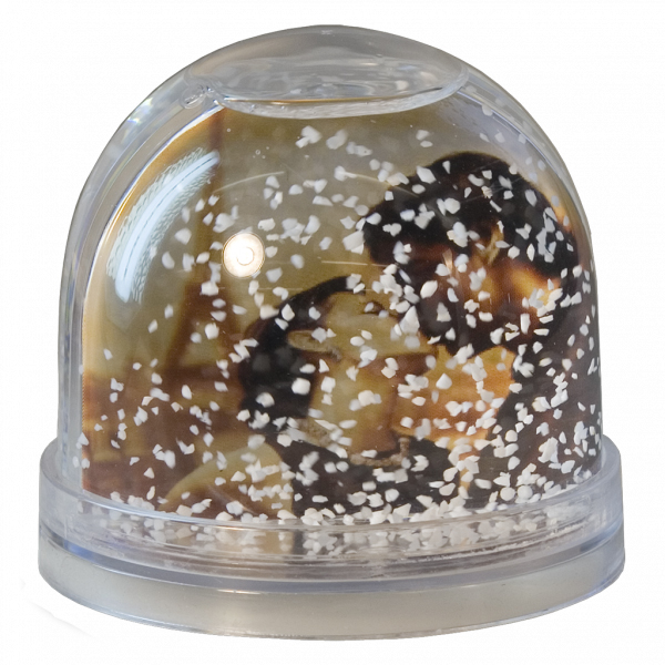 Photoglobe 9 x 9 cm. - met witte sneeuw