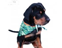 SUBLI Honden Bandana - Maat L