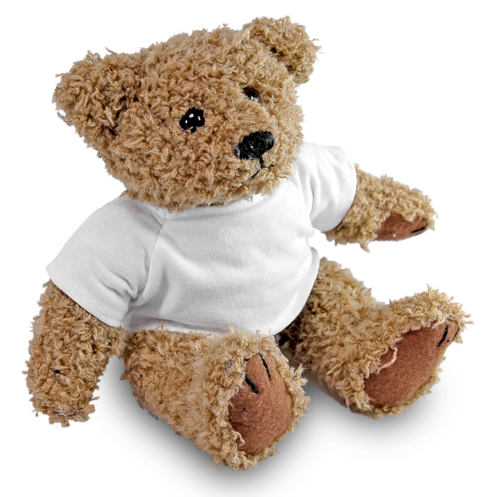 Pluche Teddy Beer 18 cm. - inclusief combi shirt